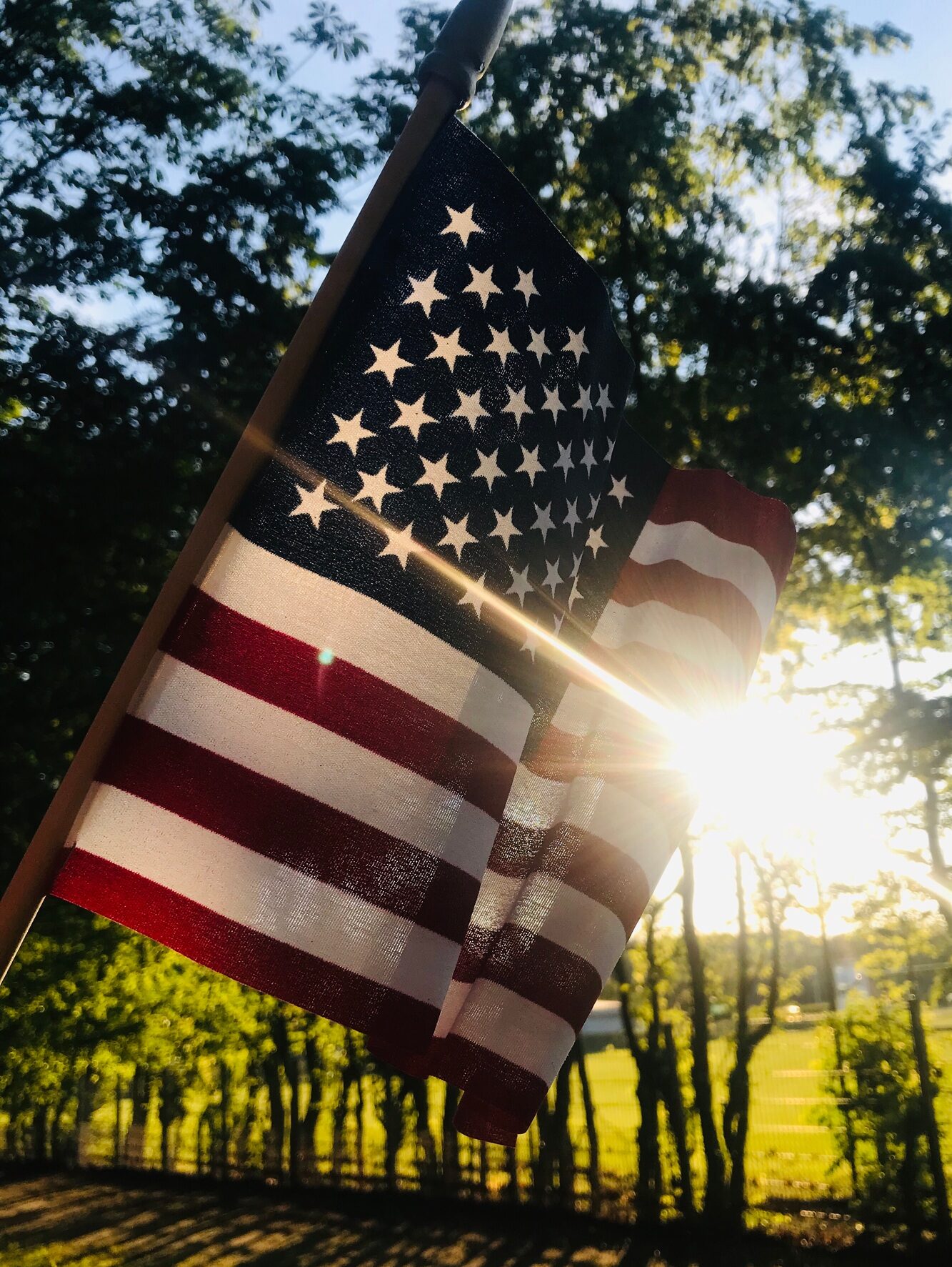 Flag of the United States